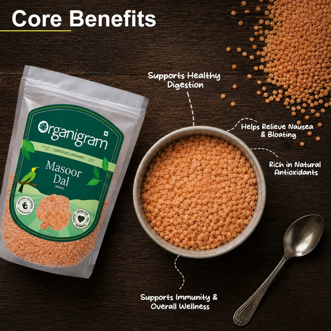 Organic Masoor Malka/Red Lentil Split (Skinless) - Image 2