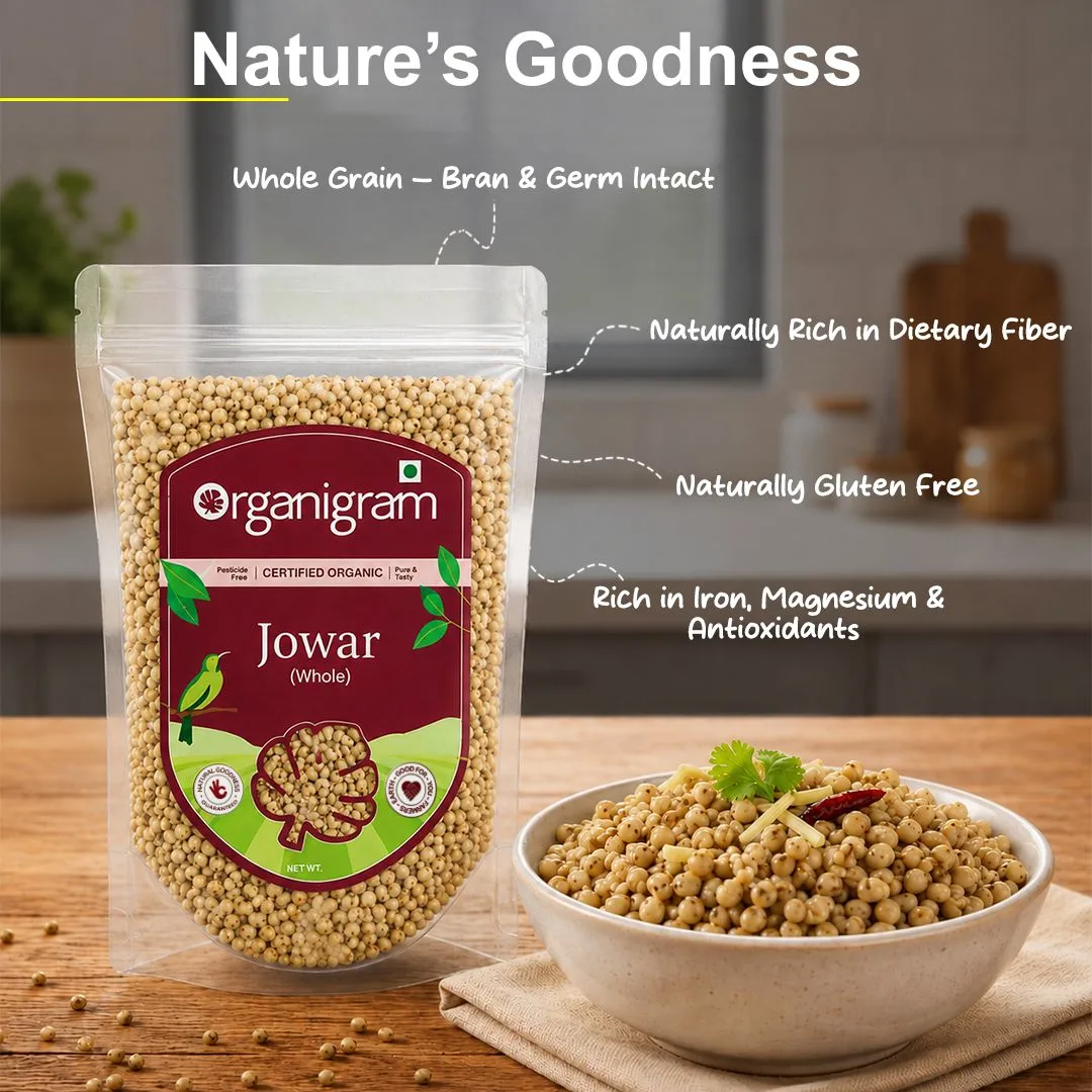 Organic Jowar/Sorghum Whole - Image 4