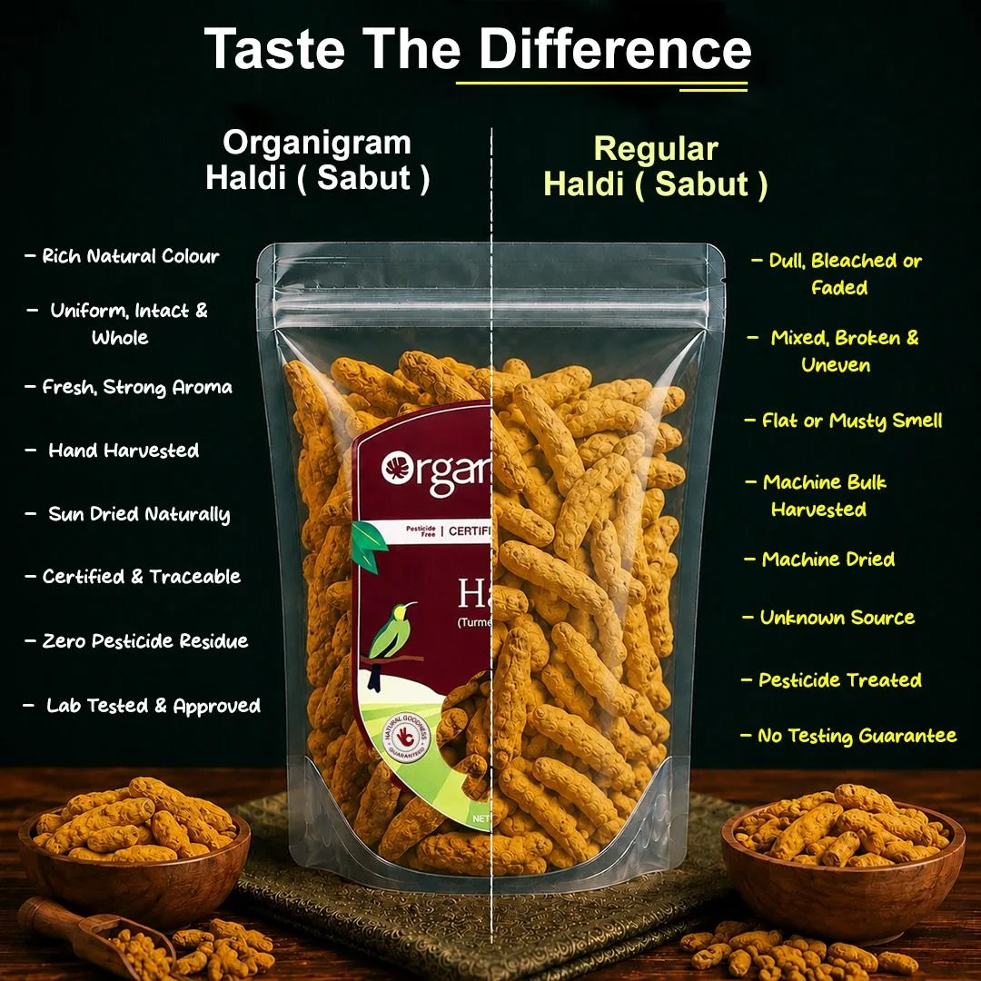 Organic Haldi Sabut/Turmeric Whole - Image 3