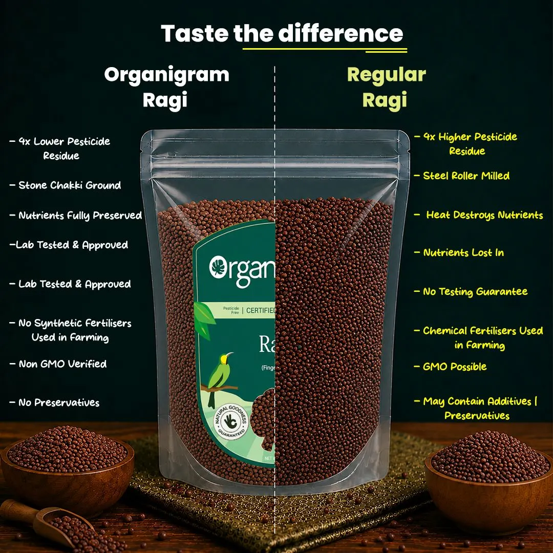 Organic Ragi Whole/Finger Millet - Image 3