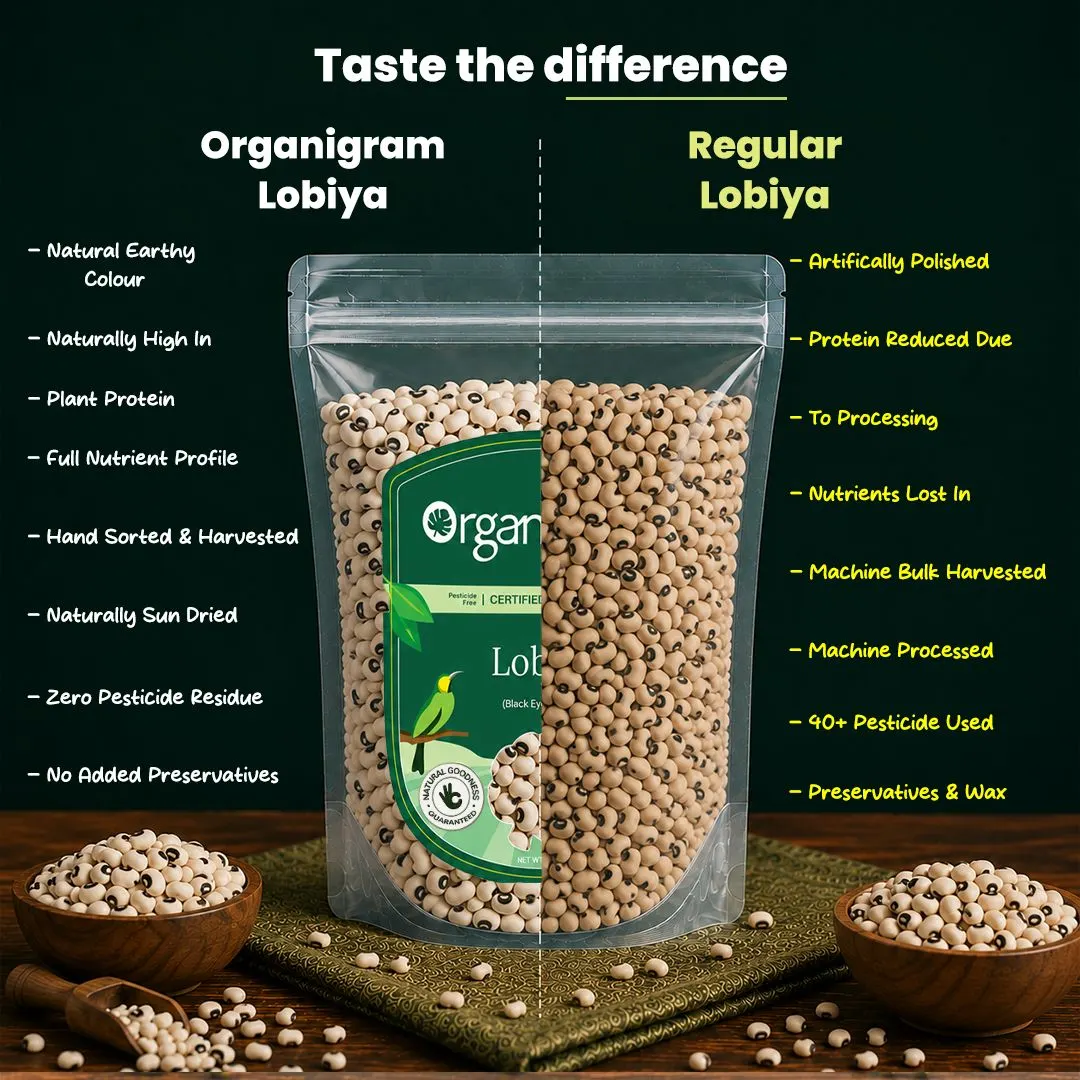 Organic Lobiya/Black-Eyed Beans - Image 3