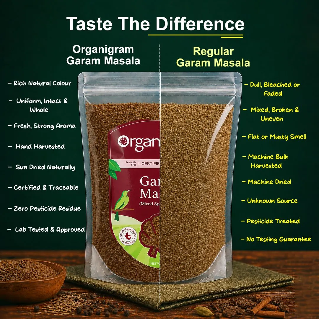 Organic Garam Masala/Mixed Masala Powder - Image 3