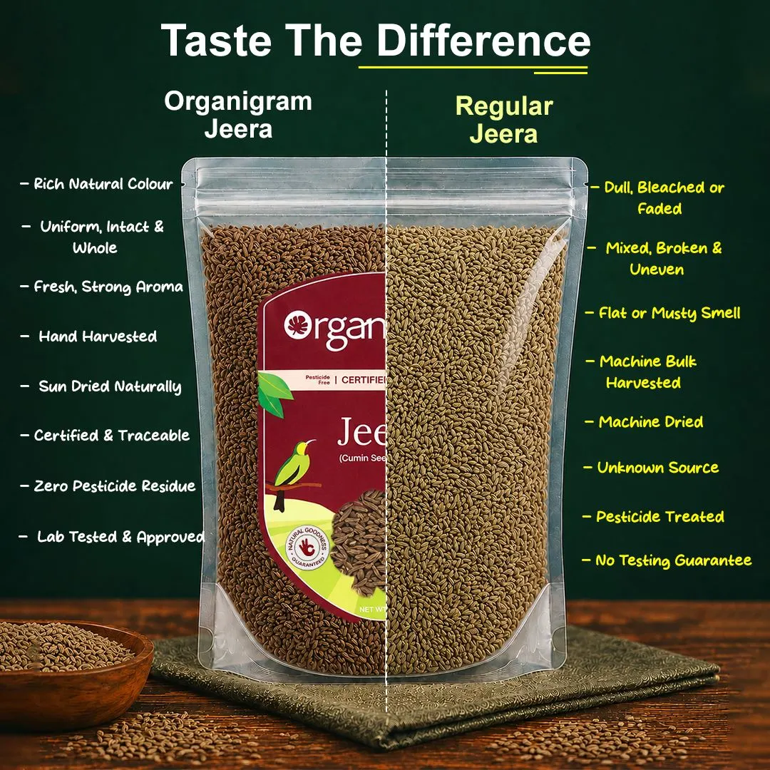 Organic Jeera/Cumin Seeds Whole - Image 3