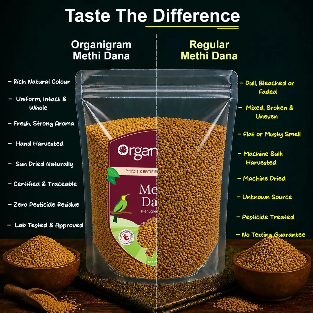 Organic Methi Dana/Fenugreek Seeds - Image 3