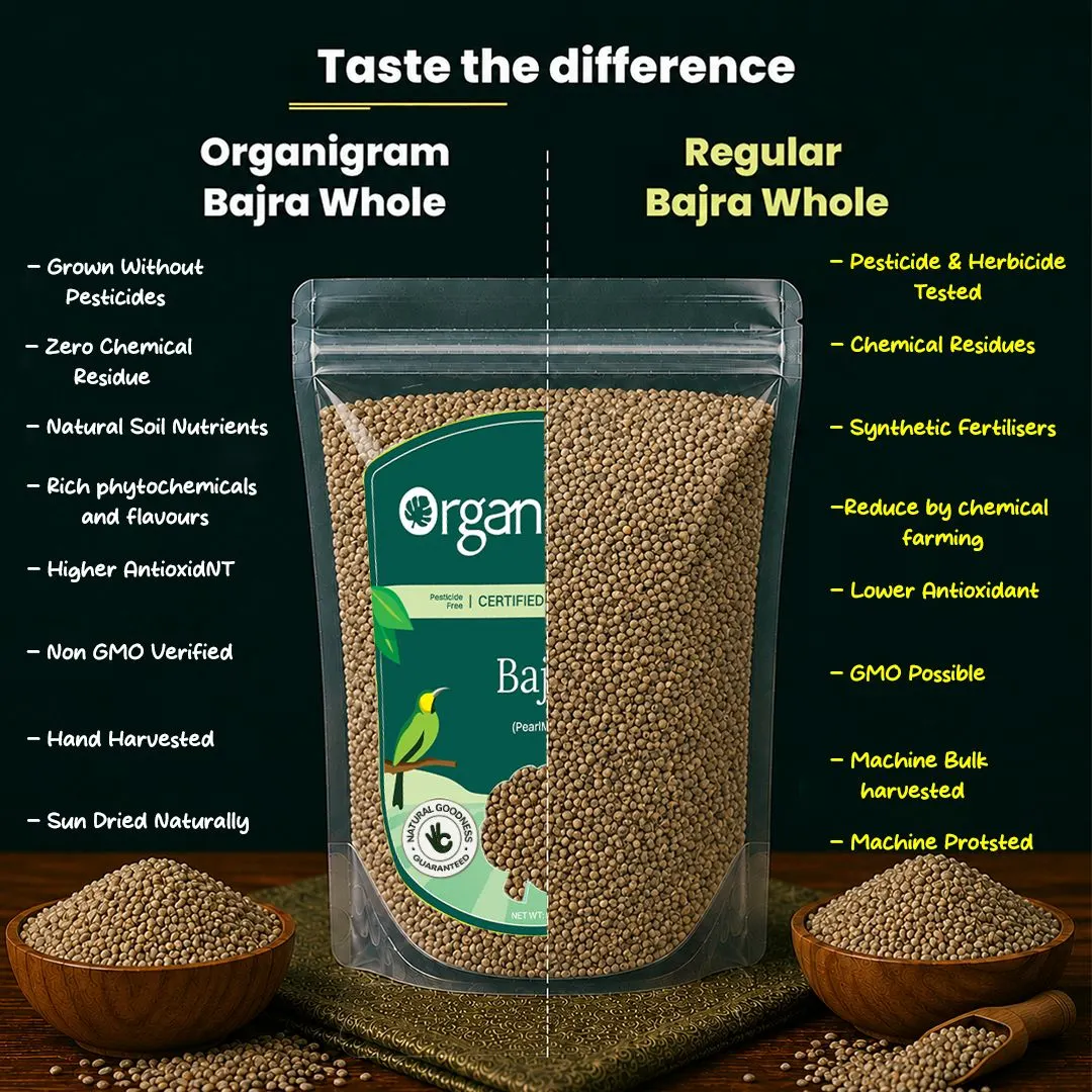Organic Bajra Whole/Pearl Millet - Image 3