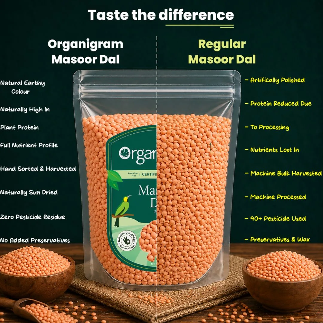 Organic Masoor Malka/Red Lentil Split (Skinless) - Image 3