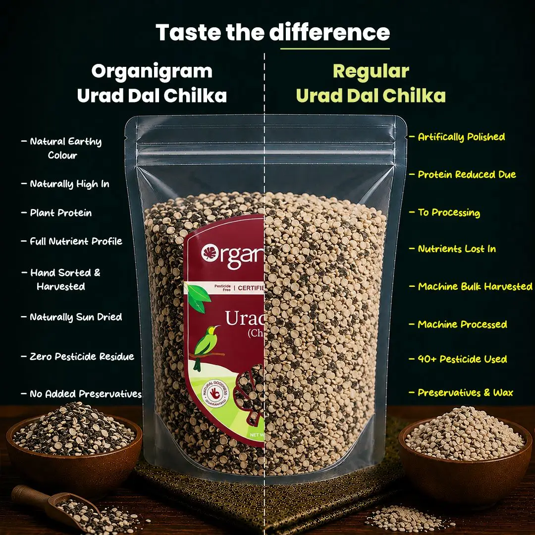 Organic Urad Dal (Chilka)/Black Gram Split (With Skin) - Image 3