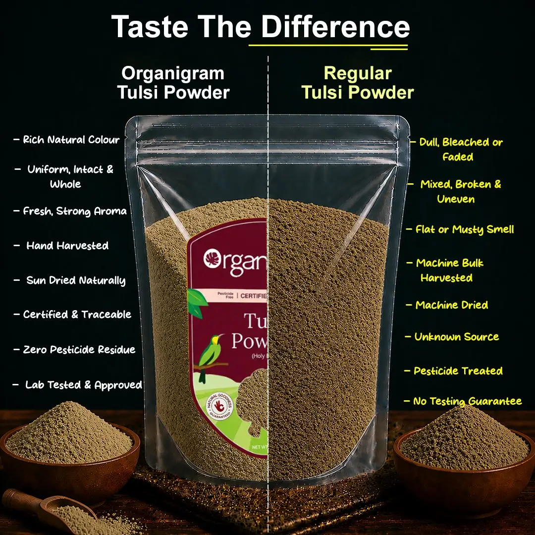 Organic Tulsi Powder/Holy Basil Powder - Image 3