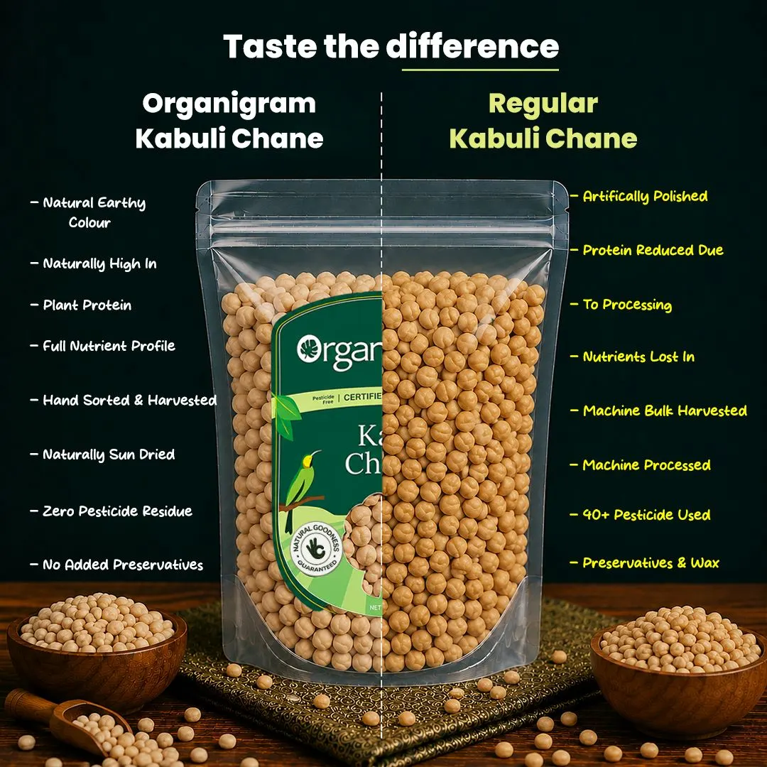 Organic Kabuli Chana/Chickpea - Image 3