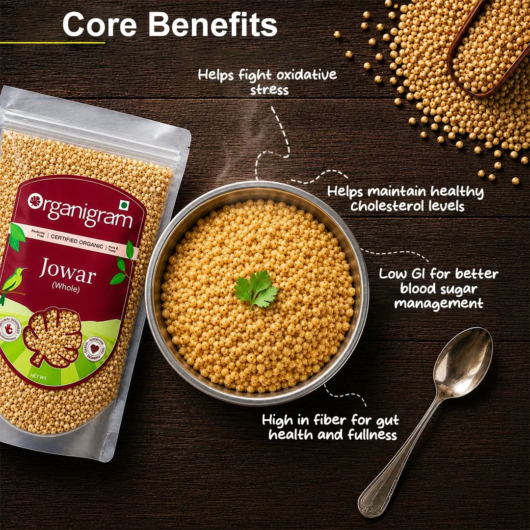 Organic Jowar/Sorghum Whole - Image 2