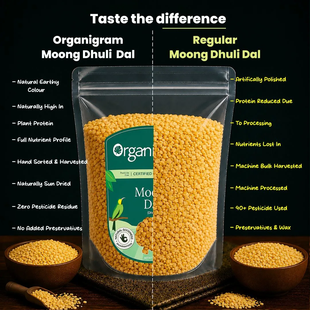 Organic Moong Dal Dhuli/Yellow Lentil Split (Skinless) - Image 3