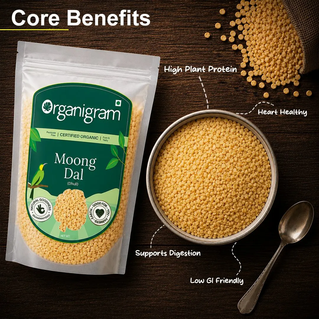 Organic Moong Dal Dhuli/Yellow Lentil Split (Skinless) - Image 2