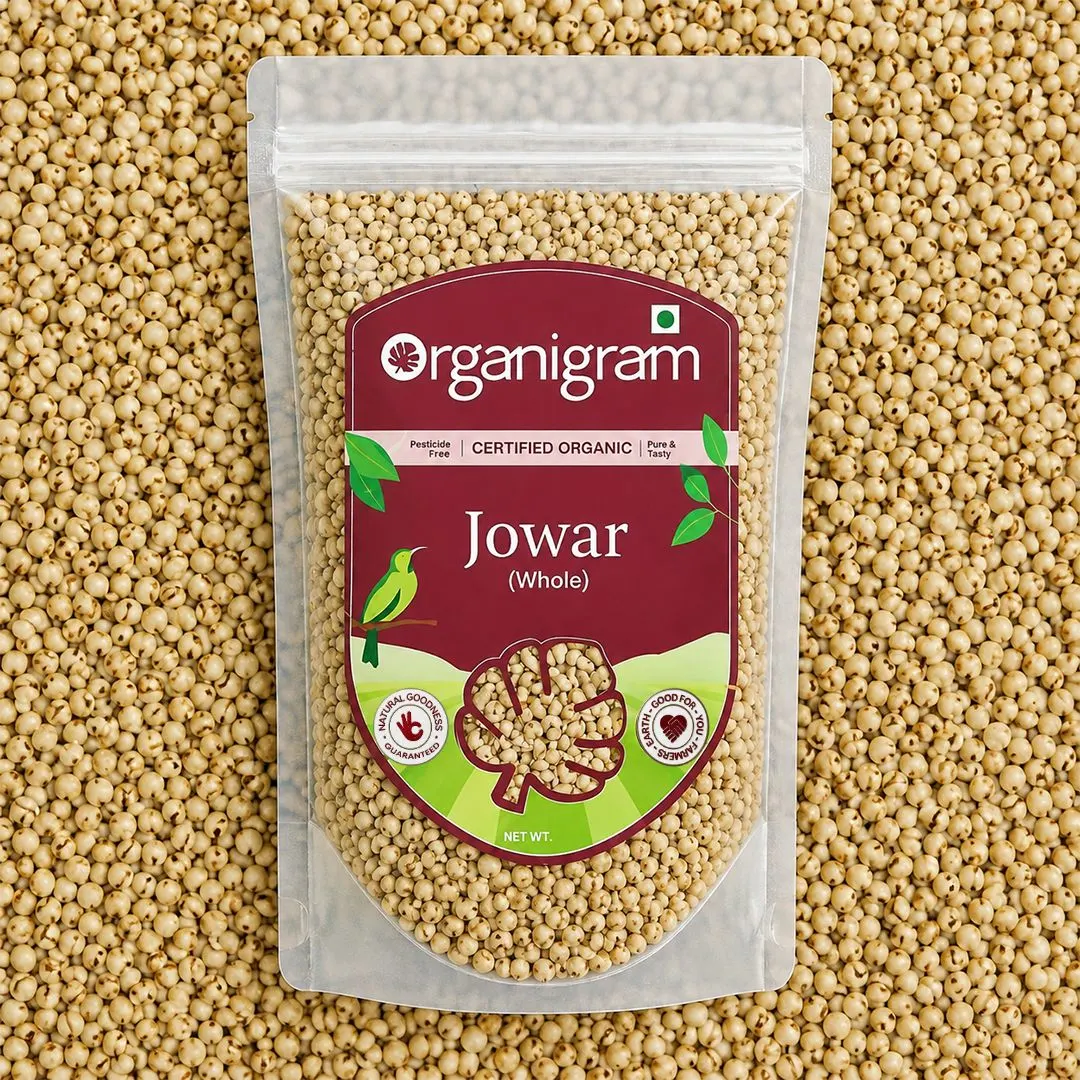 Organic Jowar/Sorghum Whole