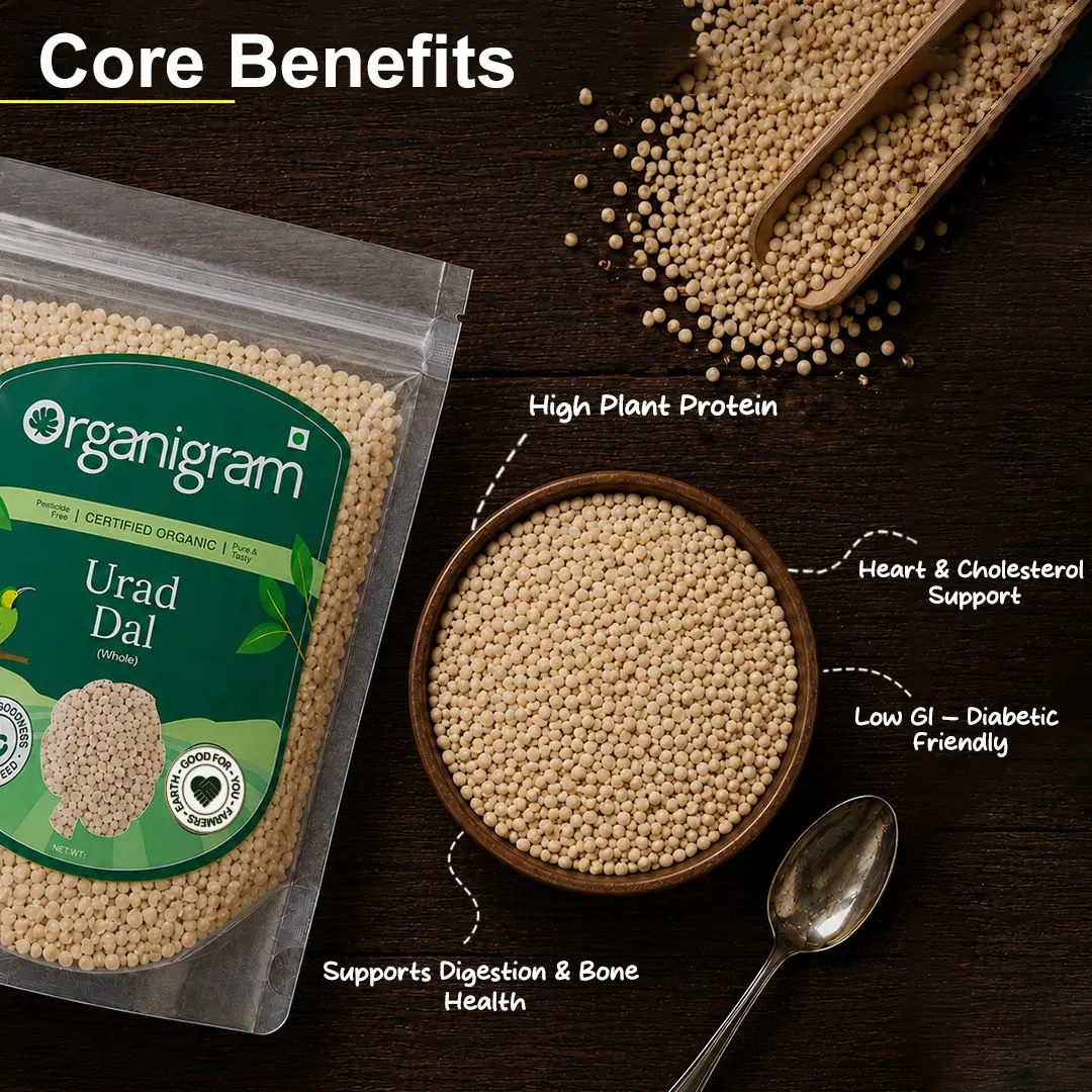 Organic Urad Gota/Urad White Gram Whole - Image 2